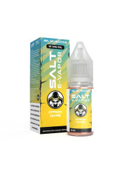 SALT Citron Givré 10ml