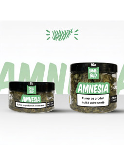 CBD JAMMIN AMNESIA