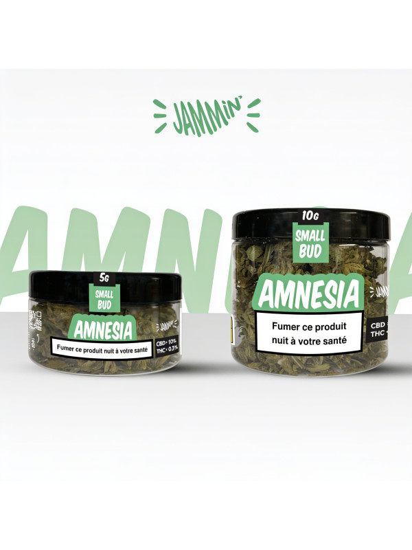 CBD JAMMIN AMNESIA