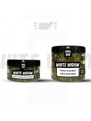 CBD JAMMIN WHITE WIDOW