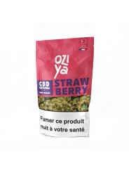 CBD OZIYA STRAWBERRY
