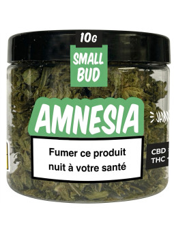 JAMMIN Amnesia 10g