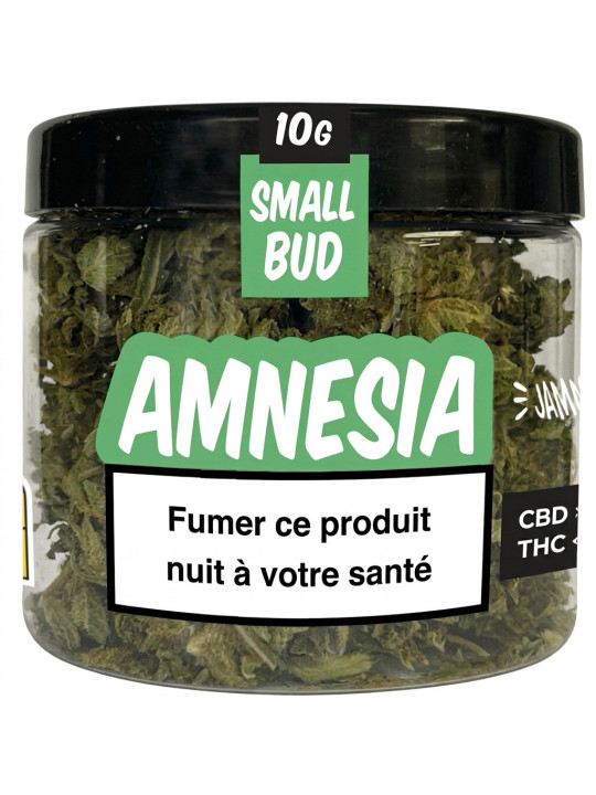 JAMMIN Amnesia 10g